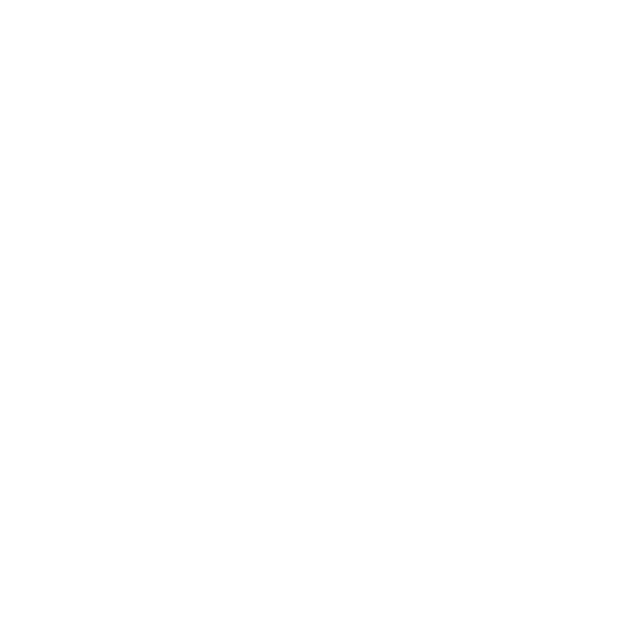 Mervin Travel